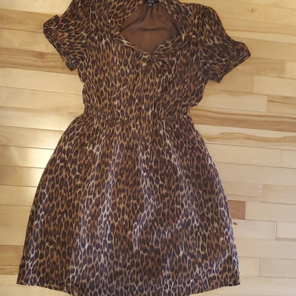 Leopard Print Dress - Picture 1 of 5